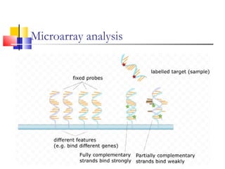 Microarray analysis