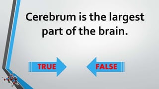 Cerebrum is the largest 
part of the brain. 
TRUE FALSE 
 