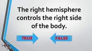 The right hemisphere 
controls the right side 
of the body. 
TRUE FALSE 
 