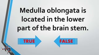 Medulla oblongata is 
located in the lower 
part of the brain stem. 
TRUE FALSE 
 