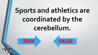Sports and athletics are 
coordinated by the 
cerebellum. 
TRUE FALSE 
 