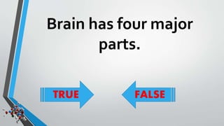 Brain has four major 
parts. 
TRUE FALSE 
 
