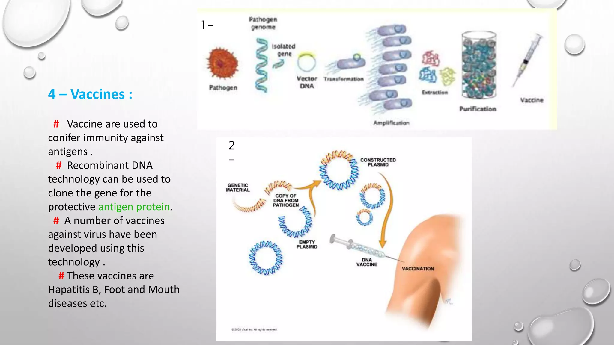 Application Of Recombinant DNA Technology | PPTX