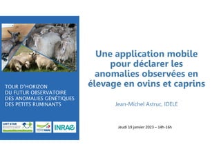 Une application mobile
pour déclarer les
anomalies observées en
élevage en ovins et caprins
Jean-Michel Astruc, IDELE
Jeudi 19 janvier 2023 – 14h-16h
 