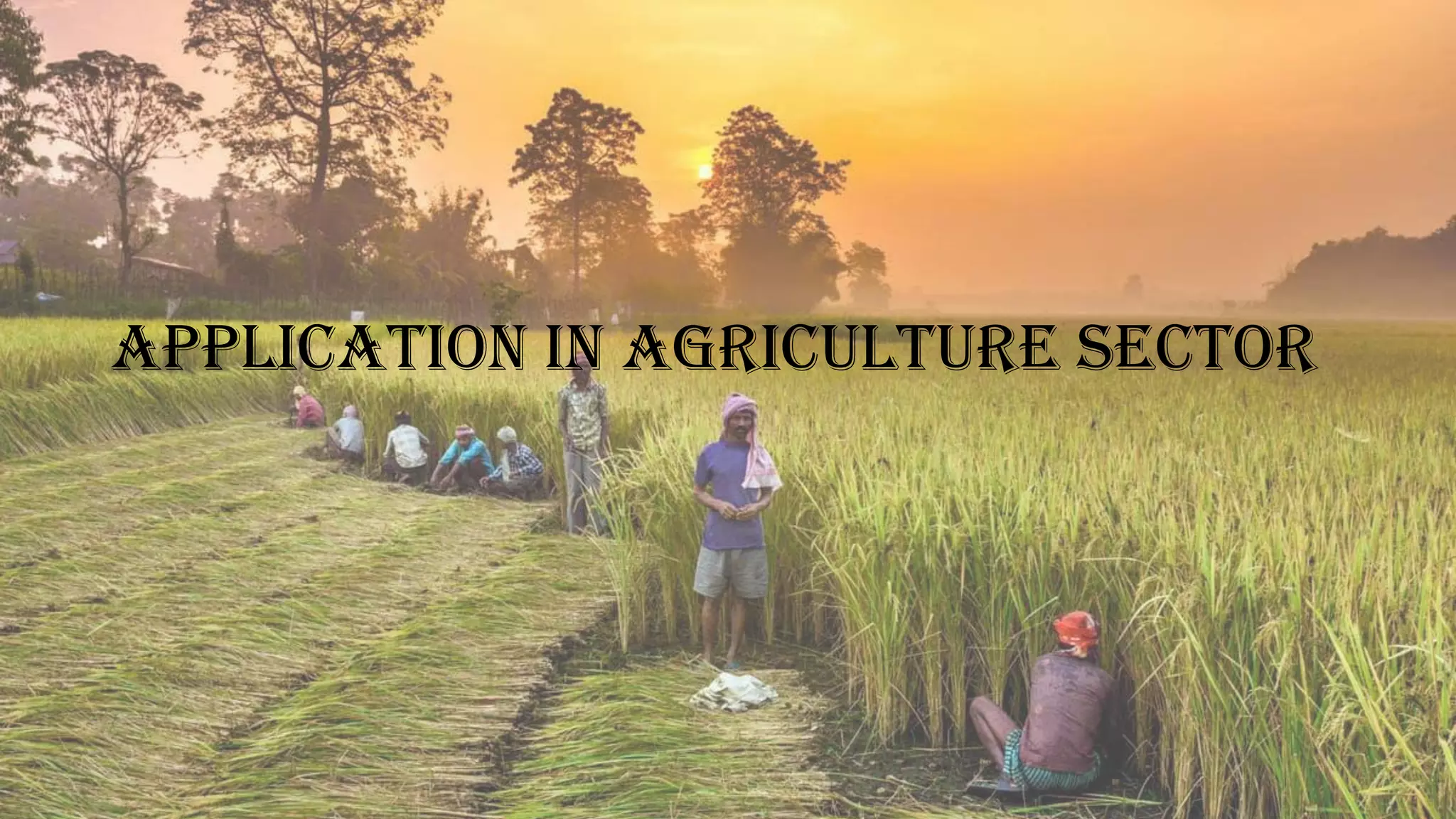 Application in agriculture sector
 