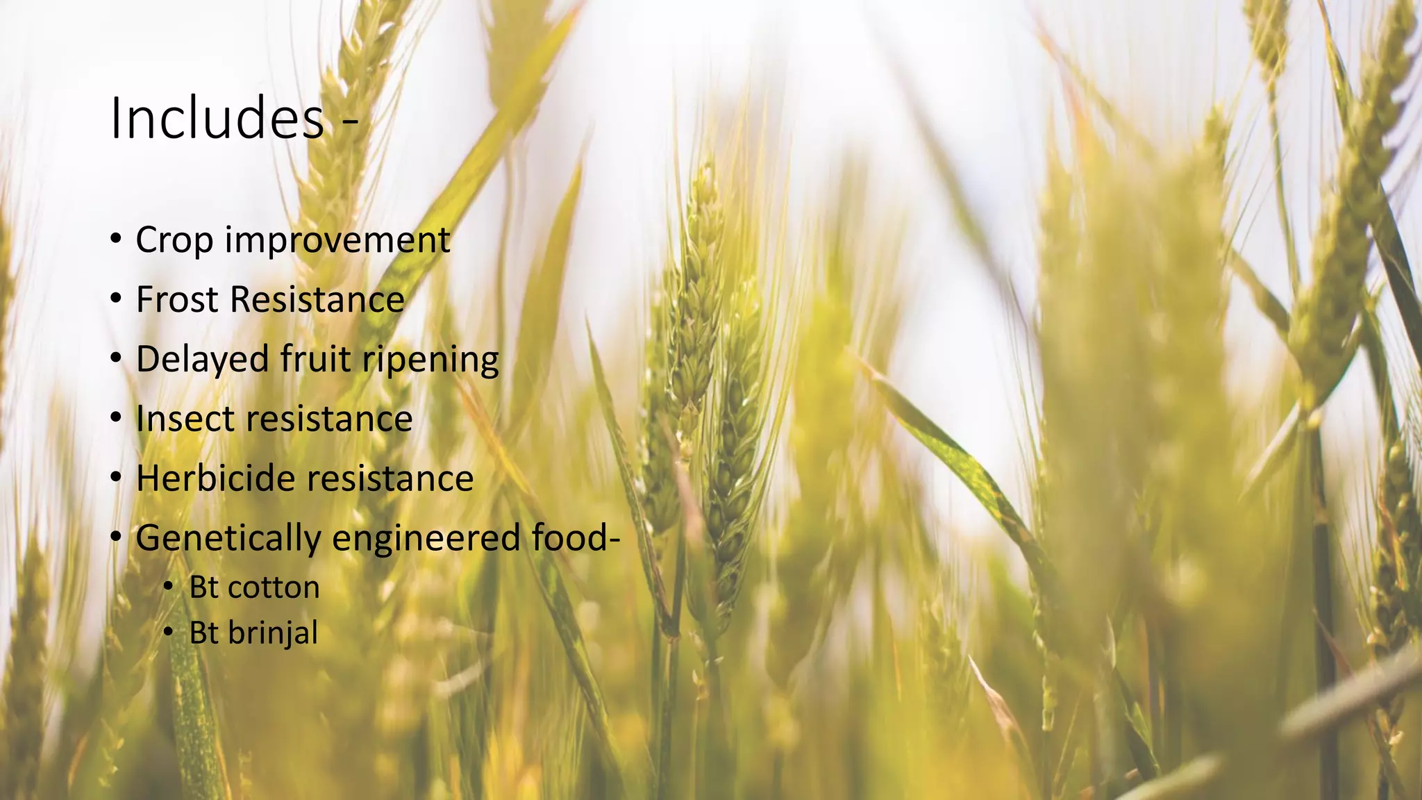 Includes -
• Crop improvement
• Frost Resistance
• Delayed fruit ripening
• Insect resistance
• Herbicide resistance
• Genetically engineered food-
• Bt cotton
• Bt brinjal
 