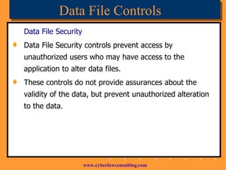Data File Controls Data File Security  Data File Security controls prevent access by unauthorized users who may have access to the application to alter data files. These controls do not provide assurances about the validity of the data, but prevent unauthorized alteration to the data. 