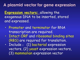 A plasmid vector for gene expression Expression vectors:   allowing the exogenous DNA to be inserted, stored and expressed.  Promoter  and  terminator  for RNA transcription are required. Intact ORF  and  ribosomal binding sites (RBS)  are required for translation. Include ： (1)  bacterial  expression vectors, (2)  yeast  expression vectors, (3)  mammalian  expression vector 