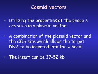 Cosmid vectors Utilizing the properties of the phage    cos  sites in a plasmid vector. A combination of the plasmid vector and the COS site which allows the target DNA to be inserted into the    head. The insert can be 37-52 kb 