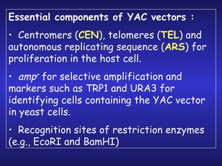 Essential components of YAC vectors : Centromers ( CEN ), telomeres ( TEL ) and autonomous replicating sequence ( ARS ) for proliferation in the host cell.  amp r  for selective amplification and markers such as TRP1 and URA3 for identifying cells containing the YAC vector in yeast cells.  Recognition sites of restriction enzymes (e.g., EcoRI and BamHI)  