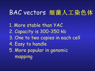 BAC vectors  细菌人工染色体 1. More stable than YAC 2. Capacity is 300-350 kb 3. One to two copies in each cell 4. Easy to handle 5. More popular in genomic mapping 