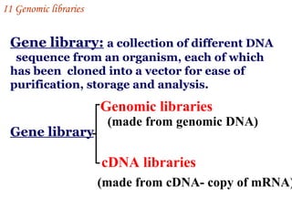 Gene library:   a collection of different DNA  sequence from an organism, each of which has been  cloned into a vector for ease of purification, storage and analysis. Genomic libraries cDNA libraries   Gene library (made from genomic DNA) (made from cDNA- copy of mRNA) I 1  Genomic libraries   