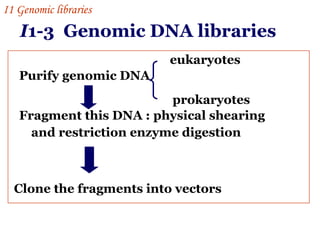 I 1-3  Genomic DNA libraries Purify genomic DNA Fragment this DNA : physical shearing and restriction enzyme digestion   eukaryotes prokaryotes Clone the fragments into vectors I 1  Genomic libraries   