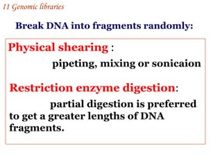 Break DNA into fragments randomly: Physical shearing  : pipeting, mixing or sonicaion   Restriction enzyme digestion :    partial digestion is preferred to get a greater lengths of DNA fragments. I 1  Genomic libraries   