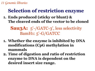 Sau3A:  5’-/GATC-3’, less selectivity BamH1: 5’-G/GATCC Selection of restriction enzyme Ends produced (sticky or blunt) & The cleaved ends of the vector to be cloned Whether the enzyme is inhibited by DNA modifications (CpG methylation in mammals Time of digestion and ratio of restriction enzyme to DNA is dependent on the desired insert size range. I 1  Genomic libraries   