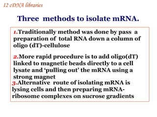 1. Traditionally method was done by pass  a preparation of  total RNA down a column of oligo (dT)-cellulose 2. More rapid procedure is to add oligo(dT) linked to magnetic beads directly to a cell lysate and ‘pulling out’ the mRNA using a strong magnet  3. Alternative  route of isolating mRNA is lysing cells and then preparing mRNA-ribosome complexes on sucrose gradients Three  methods to isolate mRNA. I 2 cDNA libraries 