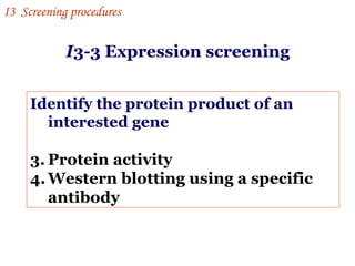 Identify the protein product of an interested gene Protein activity Western blotting using a specific antibody I 3  Screening procedures I 3-3 Expression screening 