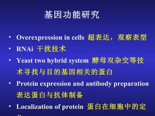 基因功能研究 Overexpression in cells   超表达，观察表型 RNAi   干扰技术 Yeast two hybrid system   酵母双杂交等技术寻找与目的基因相关的蛋白 Protein expression and antibody preparation 表达蛋白与抗体制备 Localization of protein   蛋白在细胞中的定位 