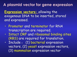 A plasmid vector for gene expression Expression vectors:   allowing the exogenous DNA to be inserted, stored and expressed.  ,[object Object],[object Object],[object Object]