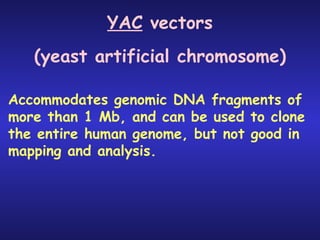 YAC  vectors Accommodates genomic DNA fragments of more than 1 Mb, and can be used to clone the entire human genome, but not good in mapping and analysis. (yeast artificial chromosome) 