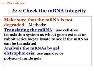 Make sure that the mRNA is not degraded.   Methods: Translating the mRNA  :  use cell-free translation system as wheat germ extract or rabbit reticulocyte lysate to see if the mRNAs can be translated Analysis the mRNAs by gel elctrophoresis :  use agarose or polyacrylamide gels   I 2-2 Check the mRNA integrity I 2  cDNA libraries 