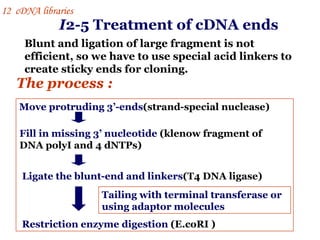 I 2-5 Treatment of cDNA ends Blunt and ligation of large fragment is not efficient, so we have to use special acid linkers to create sticky ends for cloning.  The process : Move protruding 3’-ends (strand-special nuclease) Fill in missing 3’ nucleotide   (klenow fragment of  DNA polyI and 4 dNTPs) Ligate the blunt-end and linkers (T4 DNA ligase) Restriction enzyme digestion   (E.coRI ) Tailing with terminal transferase or using adaptor molecules  I 2  cDNA libraries 