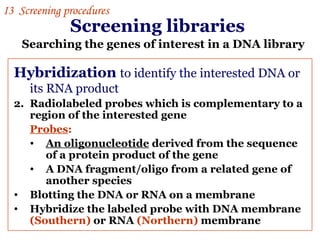 Screening libraries   ,[object Object],[object Object],[object Object],[object Object],[object Object],[object Object],[object Object],Searching the genes of interest in a DNA library  I 3  Screening procedures 