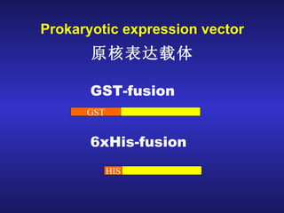 Prokaryotic expression vector 原核表达载体 GST-fusion 6xHis-fusion GST HIS 