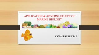 APPLICATION & ADVERSE EFFECT OF
MARINE BIOLOGY
KAMALESH GUPTA B
 