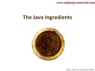 The Java Ingredients Picture : http://www.sxc.hu/photo/1301889 www.onlinejavatutorial.com 
