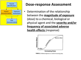 Dose-response Assessment
• Determination of the relationship
between the magnitude of exposure
(dose) to a chemical, biological or
physical agent and the severity and/or
frequency of associated adverse
health effects (response)
Hazard
identification
Exposure
assessment
Hazard
characterization
Risk
characterization
 