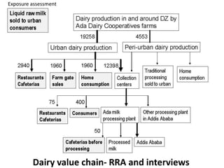 40
Dairy value chain- RRA and interviews
Exposure assessment
 