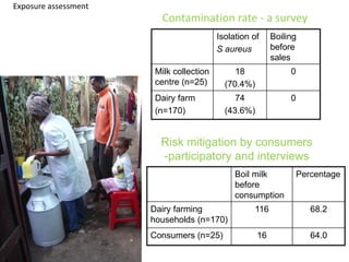Contamination rate - a survey
Isolation of
S aureus
Boiling
before
sales
Milk collection
centre (n=25)
18
(70.4%)
0
Dairy farm
(n=170)
74
(43.6%)
0
Example:
Boil milk
before
consumption
Percentage
Dairy farming
households (n=170)
116 68.2
Consumers (n=25) 16 64.0
Risk mitigation by consumers
-participatory and interviews
Exposure assessment
 