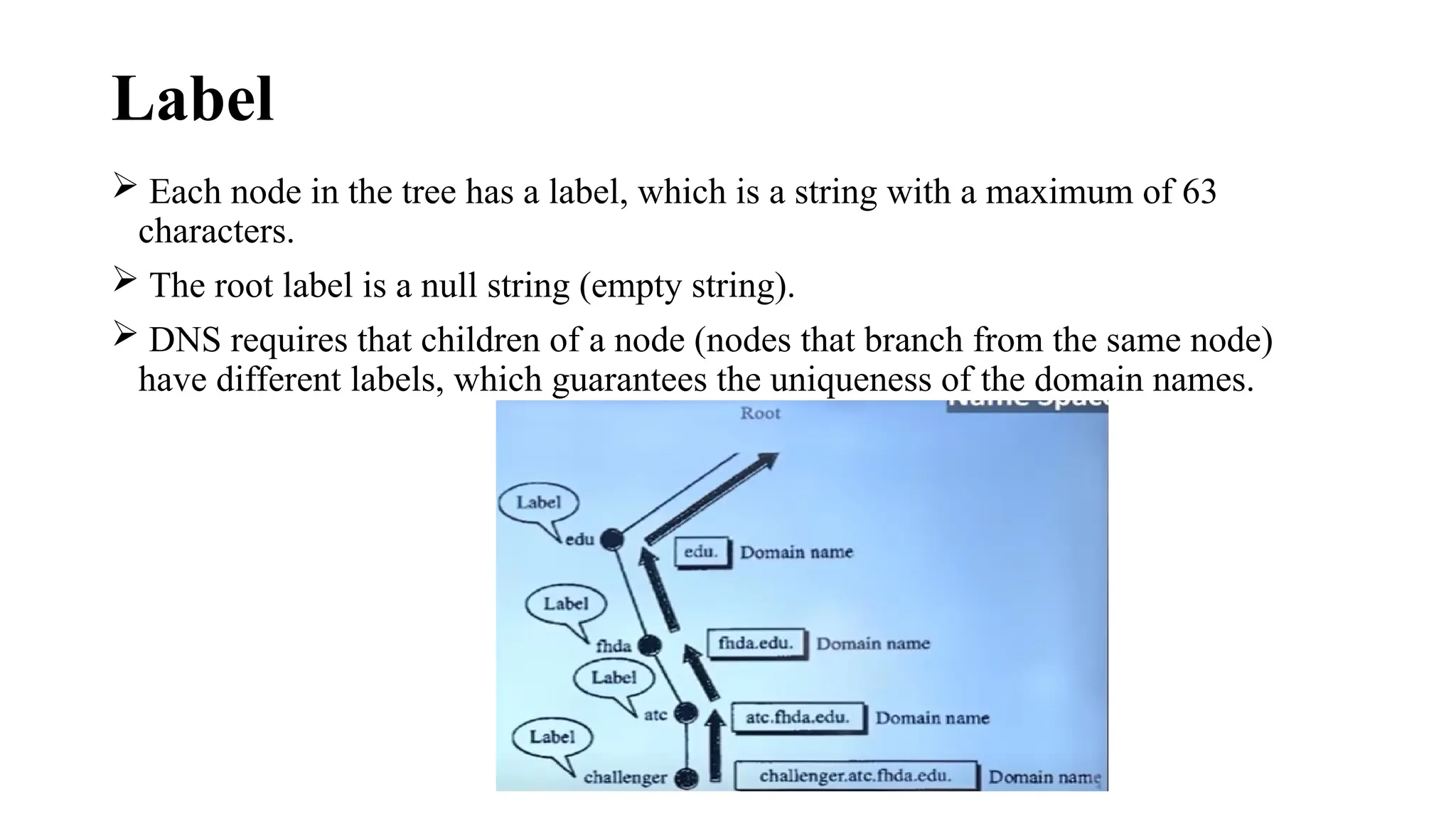 Label
 Each node in the tree has a label, which is a string with a maximum of 63
characters.
 The root label is a null string (empty string).
 DNS requires that children of a node (nodes that branch from the same node)
have different labels, which guarantees the uniqueness of the domain names.
 