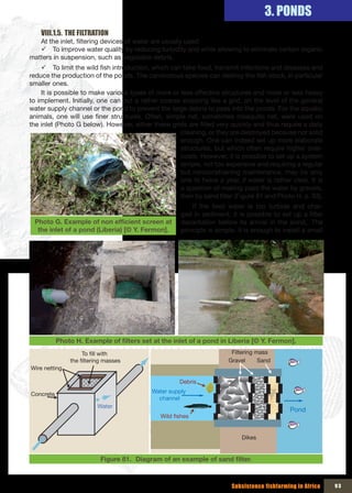 3. PONDS
    VIII.1.5. THE FILTRATION
   At the inlet, filtering devices of water are usually used:
   9 To improve water quality by reducing turbidity and while allowing to eliminate certain organic
matters in suspension, such as vegetable debris.
    9 To limit the wild fish introduction, which can take food, transmit infections and diseases and
reduce the production of the ponds. The carnivorous species can destroy the fish stock, in particular
smaller ones.
    It is possible to make various types of more or less effective structures and more or less heavy
to implement. Initially, one can put a rather coarse stopping like a grid, on the level of the general
water supply channel or the pond to prevent the large debris to pass into the ponds. For the aquatic
animals, one will use finer structures. Often, simple net, sometimes mosquito net, were used on
the inlet (Photo G below). However, either these grids are filled very quickly and thus require a daily
                                                    cleaning, or they are destroyed because not solid
                                                    enough. One can indeed set up more elaborate
                                                    structures, but which often require higher over-
                                                    costs. However, it is possible to set up a system
                                                    simple, not too expensive and requiring a regular
                                                    but nonconstraining maintenance, may be only
                                                    one to twice a year, if water is rather clear. It is
                                                    a question of making pass the water by gravels,
                                                    then by sand filter (Figure 81 and Photo H, p. 93).
                                                         If the feed water is too turbide and char-
                                                     ged in sediment, it is possible to set up a filter
 Photo G. Example	of	non	efficient	screen	at	        decantation before its arrival in the pond,. The
  the inlet of a pond (Liberia) [© Y. Fermon].       principle is simple. It is enough to install a small




           Photo H. Example	of	filters	set	at	the	inlet	of	a	pond	in	Liberia	[©	Y.	Fermon].
                    To fill with                                       Filtering mass
               the filtering masses                                   Gravel      Sand
Wire netting

                                                     Debris

Concrete                                   Water supply 
                                             channel
                         Water
                                                                                             Pond
                                              Wild fishes


                                                                           Dikes


                           Figure 81. Diagram	of	an	example	of	sand	filter.



                                                                       Subsistence fishfarming in Africa    93
 