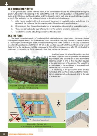 Ix.3. BIOLOGICAL PLASTIC
          If the ground used can let infiltrate water, it will be necessary to use the technique of “biological
      plastic”, to reinforce the sealing of the plate of the pond. This technique allows to reduce the water
      leaks and infiltrations by filling the plate and the dikes of a pond built on a ground not impermeable
      enough. The realization of the biological plastic is done in the following way:
          1.    After having regularized the structures well by removing vegetable debris and stones, one
                covers all the plate and the future water side of the dikes with waste of pigsty.
          2.    One recovers then this waste using leaves of banana tree, straw or other vegetable matters.
          3.    Then, one spreads out a layer of ground over the unit and one rams copiously.
          4.    Two to three weeks after, the pond can be fill with water.

      Ix.4. THE FENCE
           The fence prevents the entry of predatory of all species (snakes, frogs, otters…) in the enclosure
      of the pond (Figure 98 and Photo M below). It can be made of a netting, that one buries on at least
      a 10 cm depth and the higher end turned towards the pond. Metal stakes or of not very putrescible
      wood are thus established all the 50 - 90 cm to be used as support with the grid fixed using wire of
      fastener. For the bamboos, it will be necessary to think of their replacements after 18 months to the
      maximum in tropical zone. Other materials other than netting can be used.

                                                                     In all the cases, it is advisable to take care that
                                                                the fence does not have any hole on the whole of
                                                                its perimeter. The second role is also to limit the
                                                                poaching which is one of the important causes
                                                                of the abandonment of the ponds. The use of the
                                                                access doors in the enclosure of the ponds will
                                                                have to be, so controlled well.
                                                                     If necessary, if the piscivorous birds are too
                                                                numerous, one can have recourse to the installa-
                                                                tion of a coarse net on the ponds and to the use
                                                                of scarecrows.




       Photo M. Setting of a fences with branches
                (Liberia) [© Y. Fermon].


          Stream




                                           Pond
                                    Fishponds
               Fisherman
                                                  Door                                                              B
        Predators
                                          Dikes
                                 Thief                Channel

                                      Controle of water level                       A
                             Figure 98. Fences (A).
                      In scrubs (B); In wood or bamboo (C).                                                          C


108   Subsistence fishfarming in Africa
 