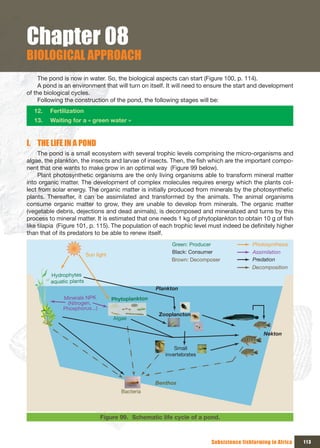 Chapter 08
BIOLOGICAL APPROACH
     The pond is now in water. So, the biological aspects can start (Figure 100, p. 114).
     A pond is an environment that will turn on itself. It will need to ensure the start and development
of the biological cycles.
     Following the construction of the pond, the following stages will be:
  12.  Fertilization
  13.  Waiting for a « green water »


I. THE LIFE IN A POND
     The pond is a small ecosystem with several trophic levels comprising the micro-organisms and
algae, the plankton, the insects and larvae of insects. Then, the fish which are the important compo-
nent that one wants to make grow in an optimal way (Figure 99 below).
     Plant photosynthetic organisms are the only living organisms able to transform mineral matter
into organic matter. The development of complex molecules requires energy which the plants col-
lect from solar energy. The organic matter is initially produced from minerals by the photosynthetic
plants. Thereafter, it can be assimilated and transformed by the animals. The animal organisms
consume organic matter to grow, they are unable to develop from minerals. The organic matter
(vegetable debris, dejections and dead animals), is decomposed and mineralized and turns by this
process to mineral matter. It is estimated that one needs 1 kg of phytoplankton to obtain 10 g of fish
like tilapia (Figure 101, p. 115). The population of each trophic level must indeed be definitely higher
than that of its predators to be able to renew itself.
                                                           Green: Producer               Photosynthesis
                                                           Black: Consumer               Assimilation
                          Sun light
                                                           Brown: Decomposer             Predation
                                                                                         Decomposition
         Hydrophytes 
         aquatic plants
                                                      Plankton
              Minerals NPK            Phytoplankton
               (Nitrogen, 
              Phosphorus...)
                                                       Zooplancton
                                      Algae

                                                                                              Nekton

                                                             Small 
                                                         invertebrates




                                                      Benthos
                                         Bacteria



                                Figure 99. Schematic life cycle of a pond.



                                                                         Subsistence fishfarming in Africa   113
 