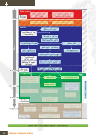 0
                        Assessment
                                             Socio-economy                         Environnemental
                        Duration:              Ethnology                         Ecology - Ichthyology
                        3 months
          3 months
                        Selection
                                            Villages selection                      Sites selection

                        Ponds
                                                            Laying out plan
                             Purchases of the 
                               equipment
                                                          Cleaning of the site

                                                          Staking out the pond

                           Water supply channel                                                  Ponds inlet
            Time




                                                          Building of the dikes

                             Draining channel                                                   Ponds outlet

                                                      Pond bottom drain laying out
                               Purchases of 
                                fishing nets
                            Building of cages          Other structures laying out
                                or hapas

                        Duration:                    Completion and filling in water
        6 - 9 months 3 to 6 months

                        Fish farming
                             Collection in natural               Fertilization             Outside composter
                            water or production of 
                              juvenils of tilapia
                                                            « Green water »                   Maintenance and         Resumption of a cycle
      61/4 - 91/4 months                                                                      follow-up of the 
                                                                                                   ponds
                            Collection in natural 
                                                          Stocking with tilapia
                            water of predators
                                                                                                Follow-up 
                                                                                               of the fishes
        7 - 10 months                                        Stocking with 
                           Duration:                           predators
                        4 to 12 months

                        End of the cycle                                                     Intermediate harvest 
                                                                                                   of fishes
       11 - 22 months               Storage of           Draining of the pond 
                                      fishes                 and harvest
                                                                                               Maintenance and 
                                                                                             repair of ponds after 
                                                      Sale andor transformation 
                           Duration:                                                                draining
                        0.5 to 1 month                        of the fish




                                      Figure 100. Setting	of	fish	pond:	4.	Fishfarming.



114   Subsistence fishfarming in Africa
 