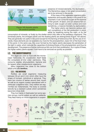 presence of mineral elements, the illumination…
                  Emerged         Float        Submerged
                   plants         plants         plants    The filamentous algae in too great concentration
                                                           are to be removed in the ponds.
                                                                If the mass of the vegetable organisms (phy-
                                                           toplankton and aquatic plants) in the pond is too
                                                           important, it can consume oxygen at the expense
                                                           of fish growth. At dawn, one can observe fish co-
                                                           ming to seek oxygen at water surface and even
                                                           sometimes, a massive mortality by asphyxiation.
                   Figure 103. Aquatic plants                   The higher plants can become serious indi-
                      (To avoid in ponds).                 rect competitors of the fish production in pond,
                                                           either by breathing during the night, or by the
      consumption of minerals, or finally by the shelter which they offer to the predatory organisms. The
      immersed plants, the emerged plants and the floating plants are distinguished (Figure 103 above).
      They are generally not useful in the pond except for the farming of herbivorous fish. By the use of mi-
      nerals, these elements are not available any more for the phytoplankton, basic link of the food chain
      of the pond. In the same way, the cover formed by the higher plants decreases the penetration of
      the light in water, which reduces the capacities of photosynthesis of the phytoplankton and thus its
      development. The presence of some herbivorous fish can limit their proliferation. So in spite of these,
      the higher watery plants appear, it will have to be removed as quickly as possible.

      I.2. THE INVERTEBRATES
           The algae are used as food with the micros-
      copic herbivores: the zooplancton. Itself feeds
      the consumers of 2nd order: carnivores. They
      consume wastes, phytoplankton, bacteria and
      for largest, other zooplanctonic organisms.
           Many organisms live close to the bottom
      which one calls benthos.
          I.2.1. THE ROTIFERS
          Rotifers are small organisms measuring
      between 50 µm and 3 mm which often have the
      shape of trumpet, cylindrical or spherical. They
      have two crowns of lashes around their mouth
      as well as an organic system specialized with in
      particular a digestive tract. They neither are seg-
      mented nor metamerized. The body is covered
      laterally by a resistant cuticle which sometimes
      becomes a true shell.
          They live mainly in freshwater but some spe-
      cies occupy marine waters as well as wetlands.
      They feed mainly on micro-organisms in suspen-                         Figure 104. Rotifers.

                                                                                                Adults




                                                                                                Juveniles



                                           Small size                 Big size
               Pest                                     Cladocerans                          Copepods

                                             Figure 105. Crustaceans.


116   Subsistence fishfarming in Africa
 