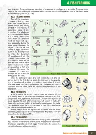 4. FISH FARMING
sion in water. Some rotifers are parasites of crustaceans, molluscs and annelids. They compose
most of the zooplankton of freshwater and constitute a source of important food in the fresh water
ecosystems (Figure 104, p. 116).
    I.2.2. THE CRUSTACEANS
     Part of the organisms
composing the zooplan-                 Adult                                    Larvae
kton are small crusta-
ceans which are mainly
divided in two classes, in
ascending sizes. It dis-
tinguishes the cladocers
and the copepods (Figure
105, p. 116 ). The zooplan-
kton form an excellent          Dytiscus
food for many fish spe-
cies especially during the
larval stage. However, the                                                                  4 to 8 mm
largest copepods are pre-
dators of eggs, larvae and
even of fry. It is important
to know the dynamism
of development of the           Dragonfly
groups composing the
zooplankton. One will be
able to also find in water                                                                10 to 20 mm
some crustaceans which
are parasites of fish and
predators. Moreover, the
presence of crabs and
shrimps are not to exclude                             Figure 106. Insects.
if they pass the filter.
     After the setting in water of a well fertilized pond, one ob-
serves during the first days a good development of the popula-
tion of the class of smallest zooplankton, the rotifers. It is only
after one week that the population of the cladocers reaches its
optimum and the same, after ten days for the population of the
copepods.
    I.2.3. THE INSECTS
      A large part of the aquatic invertebrates are insects (Figure
106 above). Most of the time they are larvae such as mosquitos,
dragonflies, flies, ephemers, trichopters… which have a phase of
larval aquatic life and, after emergence, will spawn in water. By
this cycle, some are vectors of serious human diseases like mala-
ria (mosquito) either the onchocerciasis or river blindness (simu-
lis). Some also are predators of fry.
      Some insects have an aquatic life as adults like the water
beetles (Dytiscidae) and the water scorpions (Nepidae). They are
also, often the predators of fry.
    I.2.4. THE MOLLUSCS
    There are a number of aquatic molluscs (Figure 107 opposite).
You can find water snails and mussels Anodonta or freshwater.
Snails can be predators of fish eggs. They are also the vector of a
parasitic disease, schistosomiasis.                                      Figure 107. Molluscs.


                                                                      Subsistence fishfarming in Africa   117
 