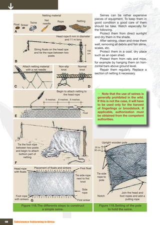 Netting material                                     Seines can be rather expensive
                                 Net 
                                                                                pieces of equipment. To keep them in
                                             Rope             Netting
                     Twine      needle                                          good condition a good care of them
      Float Sinker
                                                                                should be take. Watch especially for
                                                                                the following.
      A
                                                                                    Protect them from direct sunlight
                                             Head rope 6 mm in diameter         and dry them in the shade.
                                                   and 11 m long                    After seining, clean and rinse them
                                                                                well, removing all debris and fish slime,
                         String floats on the head ope 
                                                                                scales, etc.
                                                                        150         Protect them in a cool, dry place
                         and tie the rope between two                   cm
                                      posts                                     such as an open shed.
                                                                                    Protect them from rats and mice,
       B                                                                        for example by hanging them on hori-
             Attach netting material          Non-slip         Normal           zontal bars above ground level.
                with a net needle              knot             knot                Repair them regularly. Replace a
                                                                                section of netting it necessary.



      C                                                                     D
                                             Begin to attach netting to 
                                                  the head rope                    Ö Note that the use of seines is
                                                                                   generally prohibited in the wild.
                                  9 meshes    8 meshes 8 meshes
                                                                                   If this is not the case, it will have
                                                                                   to be used only for the harvest
                                                                                   of	 fingerlings	 or	 broodstock.	 If	
                                                                    Float          applicable, authorization must
      E                                                                            be obtained from the competent
                                                                                   authorities.




                                                                                         Upright wooden pole
        Tie the foot rope 
       between two posts                                                        20 to 
       and begin to attach                                                      30 cm
         bottom part of 
             netting

       F
      Head rope          Placement of floats and sinkers          First float
                          43 2 1 4 3 21 4 3 21 4 3 21
      with floats
                                                                                  Tie side 
                                                             Tie side rope 
                                                                                  rope to 
                                                              next to frst 
                                                                                    pole
                                                                  knot

                                                                   Side 
                                                                   rope                                 Join the head and 
       Foot rope      3 2 1 3 2 1 3 2 13 2 13 2 1 3 2 1                           Notch               foot ropes and add a 
      with sinkers                                                                                         pulling rope
                     G                                         First sinker

            Figure 118. The differents steps to construct                           Figure 119. Setting of the pole
                           a simple seine.                                                to hold the seine.



130   Subsistence fishfarming in Africa
 