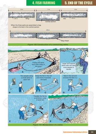 4. FISH FARMING                                5. END OF THE CYCLE
                 8 m                                         7 m                            8 m



                                                    2 m
       1.30 m          Wing                                                  Aile     1.30 m

                                                       Central section

    When the three parts are assembled a bag 
     shape is formed in the central section
                                                          23 m




                                                                         Bag shape

                          Figure 120. Construction of a central-bag seine.




                                 Pulling the seine 
                                                                         Larger and heavier 
                                from both sides of 
                                                                         seine nets will need 
                                     the pond
                                                                           more people to 
                                                                               handle
                  A                                                      A

                Two people using        Keep the fish in the net           Take in the net and 
                 a small seine to        and move it towards               enclose the fish in a 
                    catch fish                the bank                           pocket




B                                                     C                    D
                                     Transfer the fish to 
                                      a container using 
                                         a hand net




E                                                                  E
                                 Figure 121. Manipulation of a seine.



                                                                           Subsistence fishfarming in Africa   131
 