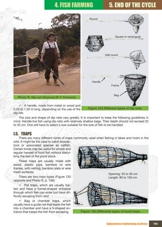 4. FISH FARMING                         5. END OF THE CYCLE

                                                         Round




                                                                            Square or rectangular




                                                                    Half-round




                                                           Handle
                                                                         Frame


                                                                           Bag
   Photo R. Dip net (Guinea) [© Y. Fermon].

    9 A handle, made from metal or wood and
0.20 to 1.50 m long, depending on the use of the        Figure 124. Different types of dip nets.
dip net.
    The size and shape of dip nets vary greatly. It is important to keep the following guidelines in
mind. Handle live fish using dip nets with relatively shallow bags. Their depth should not exceed 25
to 35 cm. One will have to select a size suitable for the size of fish to be handled.


I.5. TRAPS
    There are many different kinds of traps commonly used when fishing in lakes and rivers in the
wild. It might be the case to catch broods-
tock or associated species as catfish.
Certain kinds may be useful for simple and
regular harvest of food fish without distur-
bing the rest of the pond stock.
    These traps are usually made with
wood, plastic pipe, bamboo or wire
frames, with netting, bamboo slats or wire
mesh surfaces.
                                                                       Opening: 25 to 30 cm
   There are two main types (Figure 125                                Length: 80 to 100 cm
opposite and Photo S, p. 136):
     9 Pot traps, which are usually bai-
ted and have a funnel-shaped entrance
through which fish can enter but have dif-
ficulty escaping from; and
    9 Bag or chamber traps, which
usually have a guide net that leads the fish
into a chamber and have a V-shaped en-
trance that keeps the fish from escaping.          Figure 125. Differents types of local traps.



                                                                     Subsistence fishfarming in Africa   135
 