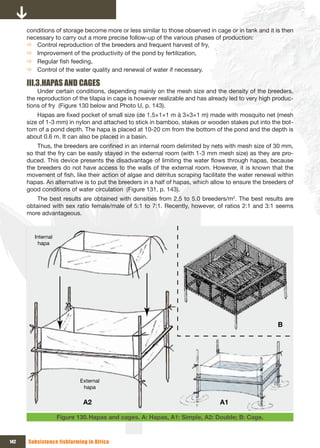 conditions of storage become more or less similar to those observed in cage or in tank and it is then
      necessary to carry out a more precise follow-up of the various phases of production:
      Ö Control reproduction of the breeders and frequent harvest of fry,
      Ö Improvement of the productivity of the pond by fertilization,
      Ö Regular fish feeding,
      Ö Control of the water quality and renewal of water if necessary.

      III.3. HAPAS AND CAGES
          Under certain conditions, depending mainly on the mesh size and the density of the breeders,
      the reproduction of the tilapia in cage is however realizable and has already led to very high produc-
      tions of fry (Figure 130 below and Photo U, p. 143).
          Hapas are fixed pocket of small size (de 1.5×1×1 m à 3×3×1 m) made with mosquito net (mesh
      size of 1-3 mm) in nylon and attached to stick in bamboo, stakes or wooden stakes put into the bot-
      tom of a pond depth. The hapa is placed at 10-20 cm from the bottom of the pond and the depth is
      about 0.6 m. It can also be placed in a basin.
          Thus, the breeders are confined in an internal room delimited by nets with mesh size of 30 mm,
      so that the fry can be easily stayed in the external room (with 1-3 mm mesh size) as they are pro-
      duced. This device presents the disadvantage of limiting the water flows through hapas, because
      the breeders do not have access to the walls of the external room. However, it is known that the
      movement of fish, like their action of algae and détritus scraping facilitate the water renewal within
      hapas. An alternative is to put the breeders in a half of hapas, which allow to ensure the breeders of
      good conditions of water circulation (Figure 131, p. 143).
          The best results are obtained with densities from 2.5 to 5.0 breeders/m2. The best results are
      obtained with sex ratio female/male of 5:1 to 7:1. Recently, however, of ratios 2:1 and 3:1 seems
      more advantageous.


         Internal
           hapa




                                                                                                      B




                            External
                             hapa

                             A2                                                A1

                    Figure 130. Hapas and cages. A: Hapas, A1: Simple, A2: Double; B: Cage.



142   Subsistence fishfarming in Africa
 