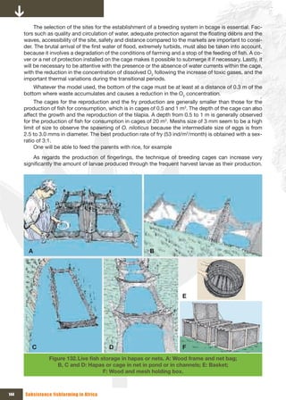 The selection of the sites for the establishment of a breeding system in bcage is essential. Fac-
      tors such as quality and circulation of water, adequate protection against the floating débris and the
      waves, accessibility of the site, safety and distance compared to the markets are important to consi-
      der. The brutal arrival of the first water of flood, extremely turbids, must also be taken into account,
      because it involves a degradation of the conditions of farming and a stop of the feeding of fish. A co-
      ver or a net of protection installed on the cage makes it possible to submerge it if necessary. Lastly, it
      will be necessary to be attentive with the presence or the absence of water currents within the cage,
      with the reduction in the concentration of dissolved O2 following the increase of toxic gases, and the
      important thermal variations during the transitional periods.
          Whatever the model used, the bottom of the cage must be at least at a distance of 0.3 m of the
      bottom where waste accumulates and causes a reduction in the O2 concentration.
           The cages for the reproduction and the fry production are generally smaller than those for the
      production of fish for consumption, which is in cages of 0.5 and 1 m3. The depth of the cage can also
      affect the growth and the reproduction of the tilapia. A depth from 0.5 to 1 m is generally observed
      for the production of fish for consumption in cages of 20 m3. Meshs size of 3 mm seem to be a high
      limit of size to observe the spawning of O. niloticus because the intermediate size of eggs is from
      2.5 to 3.0 mms in diameter. The best production rate of fry (53 ind/m2/month) is obtained with a sex-
      ratio of 3:1.
           One will be able to feed the parents with rice, for example
          As regards the production of fingerlings, the technique of breeding cages can increase very
      significantly the amount of larvae produced through the frequent harvest larvae as their production.




        A                                                     B




                                                                            E




         C                                 D                                F
                 Figure 132. Live	fish	storage	in	hapas	or	nets.	A:	Wood	frame	and	net	bag;	
                    B, C and D: Hapas or cage in net in pond or in channels; E: Basket;
                                        F: Wood and mesh holding box.



144   Subsistence fishfarming in Africa
 