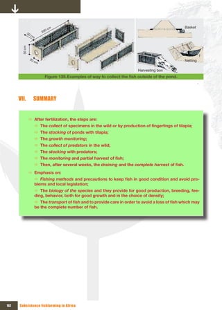 m                                                                    Basket
                                0 c
                50            20
                   cm
        50 cm




                     20
                        cm                                                                              Netting

                                                                                Harvesting box
                               Figure 139. Examples	of	way	to	collect	the	fish	outside	of	the	pond.




      VII.                SUMMARY


                 Ö After fertilization, the steps are:
                          Ö The collect	of	specimens	in	the	wild	or	by	production	of	fingerlings	of	tilapia;
                          Ö The stocking of ponds with tilapia;
                          Ö The growth monitoring;
                          Ö The collect of predators in the wild;
                          Ö The stocking with predators;
                          Ö The monitoring and partial harvest of	fish;
                          Ö Then, after several weeks, the draining and the complete harvest of	fish.
                 Ö Emphasis on:
                          Ö Fishing methods	and	precautions	to	keep	fish	in	good	condition	and	avoid	pro-
                          blems and local legislation;
                          Ö The biology of the species and they provide for good production, breeding, fee-
                          ding, behavior, both for good growth and in the choice of density;
                          Ö The transport of	fish	and	to	provide	care	in	order	to	avoid	a	loss	of	fish	which	may	
                          be	the	complete	number	of	fish.




152   Subsistence fishfarming in Africa
 