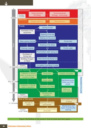 0
                        Assessment
                                             Socio-economy                         Environnemental
                        Duration:              Ethnology                         Ecology - Ichthyology
                        3 months
          3 months
                        Selection
                                            Villages selection                      Sites selection

                        Ponds
                                                             Laying out plan
                             Purchases of the 
                               equipment
                                                           Cleaning of the site

                                                          Staking out the pond

                           Water supply channel                                                  Ponds inlet
            Time




                                                           Building of the dikes

                             Draining channel                                                   Ponds outlet

                                                      Pond bottom drain laying out
                               Purchases of 
                                fishing nets
                             Building of cages         Other structures laying out
                                 or hapas

                        Duration:                     Completion and filling in water
        6 - 9 months 3 to 6 months

                        Fish farming
                             Collection in natural               Fertilization             Outside composter
                            water or production of 
                              juvenils of tilapia
                                                             « Green water »                  Maintenance and         Resumption of a cycle
      61/4 - 91/4 months                                                                      follow-up of the 
                                                                                                   ponds
                             Collection in natural 
                                                           Stocking with tilapia
                             water of predators
                                                                                                Follow-up 
                                                                                               of the fishes
        7 - 10 months                                         Stocking with 
                           Duration:                            predators
                        4 to 12 months

                        End of the cycle                                                     Intermediate harvest 
                                                                                                   of fishes
       11 - 22 months               Storage of            Draining of the pond 
                                      fishes                  and harvest
                                                                                               Maintenance and 
                                                                                             repair of ponds after 
                                                       Sale andor transformation 
                           Duration:                                                                draining
                        0.5 to 1 month                         of the fish




                           Figure 140. Setting	of	fish	pond:	5.	End	of	cycle	and	start	again…



154   Subsistence fishfarming in Africa
 