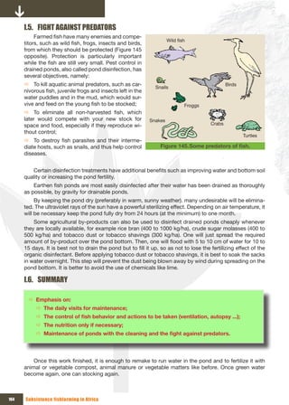 I.5. FIGHT AGAINST PREDATORS
           Farmed fish have many enemies and compe-
                                                                       Wild fish
      titors, such as wild fish, frogs, insects and birds,
      from which they should be protected (Figure 145
      opposite). Protection is particularly important
      while the fish are still very small. Pest control in
      drained ponds, also called pond disinfection, has
      several objectives, namely:
      Ö To kill aquatic animal predators, such as car-                                           Birds
                                                                Snails
      nivorous fish, juvenile frogs and insects left in the
      water puddles and in the mud, which would sur-
      vive and feed on the young fish to be stocked;                           Froggs
      Ö To eliminate all non-harvested fish, which
      later would compete with your new stock for             Snakes
      space and food, especially if they reproduce wi-                                   Crabs
      thout control;
                                                                                                         Turtles
      Ö To destroy fish parasites and their interme-
      diate hosts, such as snails, and thus help control           Figure 145. Some	predators	of	fish.
      diseases.


         Certain disinfection treatments have additional benefits such as improving water and bottom soil
      quality or increasing the pond fertility.
          Earthen fish ponds are most easily disinfected after their water has been drained as thoroughly
      as possible, by gravity for drainable ponds.
           By keeping the pond dry (preferably in warm, sunny weather). many undesirable will be elimina-
      ted. The ultraviolet rays of the sun have a powerful sterilizing effect. Depending on air temperature, it
      will be necessary keep the pond fully dry from 24 hours (at the minimum) to one month.
          Some agricultural by-products can also be used to disinfect drained ponds cheaply whenever
      they are locally available, for example rice bran (400 to 1000 kg/ha), crude sugar molasses (400 to
      500 kg/ha) and tobacco dust or tobacco shavings (300 kg/ha). One will just spread the required
      amount of by-product over the pond bottom. Then, one will flood with 5 to 10 cm of water for 10 to
      15 days. It is best not to drain the pond but to fill it up, so as not to lose the fertilizing effect of the
      organic disinfectant. Before applying tobacco dust or tobacco shavings, it is best to soak the sacks
      in water overnight. This step will prevent the dust being blown away by wind during spreading on the
      pond bottom. It is better to avoid the use of chemicals like lime.

      I.6. SUMMARY

       Ö Emphasis on:
           Ö The daily visits for maintenance;
           Ö The	control	of	fish	behavior	and	actions	to	be	taken	(ventilation,	autopsy	...);
           Ö The nutrition only if necessary;
           Ö Maintenance	of	ponds	with	the	cleaning	and	the	fight	against	predators.




          Once this work finished, it is enough to remake to run water in the pond and to fertilize it with
      animal or vegetable compost, animal manure or vegetable matters like before. Once green water
      become again, one can stocking again.



164   Subsistence fishfarming in Africa
 