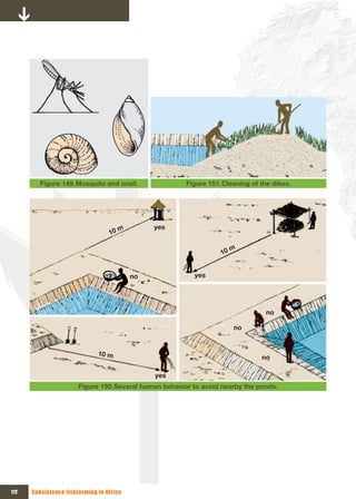 Figure 149. Mosquito and snail.               Figure 151. Cleaning of the dikes.




                                     m         yes
                                  10 

                                                                     m
                                                                  10 


                                          no              yes




                                                                                no

                                                                        no


                              10 m
                                                                               no

                                               yes
                       Figure 150. Several human behavior to avoid nearby the ponds.




172   Subsistence fishfarming in Africa
 