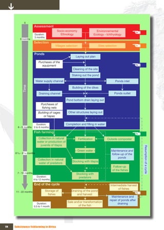 0
                        Assessment
                                             Socio-economy                         Environnemental
                        Duration:              Ethnology                         Ecology - Ichthyology
                        3 months
          3 months
                        Selection
                                            Villages selection                      Sites selection

                        Ponds
                                                            Laying out plan
                             Purchases of the 
                               equipment
                                                          Cleaning of the site

                                                          Staking out the pond

                           Water supply channel                                                  Ponds inlet
            Time




                                                          Building of the dikes

                             Draining channel                                                   Ponds outlet

                                                      Pond bottom drain laying out
                               Purchases of 
                                fishing nets
                            Building of cages          Other structures laying out
                                or hapas

                        Duration:                    Completion and filling in water
        6 - 9 months 3 to 6 months

                        Fish farming
                             Collection in natural               Fertilization             Outside composter
                            water or production of 
                              juvenils of tilapia                                                                     Resumption of a cycle

                                                            « Green water »                   Maintenance and 
      61/4 - 91/4 months                                                                      follow-up of the 
                                                                                                   ponds
                            Collection in natural 
                                                          Stocking with tilapia
                            water of predators
                                                                                                Follow-up 
                                                                                               of the fishes
        7 - 10 months                                        Stocking with 
                           Duration:                           predators
                        4 to 12 months

                        End of the cycle                                                     Intermediate harvest 
                                                                                                   of fishes
       11 - 22 months               Storage of           Draining of the pond 
                                      fishes                 and harvest
                                                                                               Maintenance and 
                                                                                             repair of ponds after 
                                                      Sale andor transformation 
                           Duration:                                                                draining
                        0.5 to 1 month                        of the fish




174   Subsistence fishfarming in Africa
 